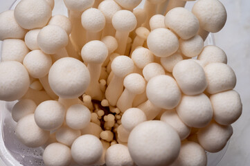 Shimeji edible mushrooms native to East Asia, buna-shimeji is widely cultivated and rich in umami tasting compounds
