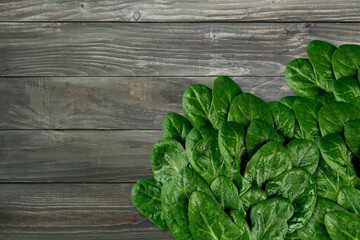 Fototapeta premium Spinach.