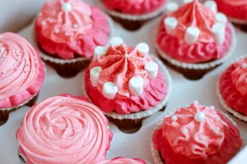 Cupcake or cup cake in gift box. Pink frosting cupcake in cardboard box. Set of delicious...