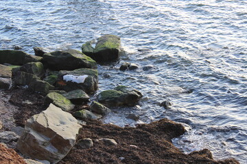 Green rocks on the beach, waves. 