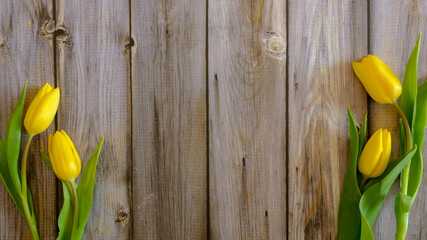 Tulpen rustikal als Hintergrund, für Grußkarten, Glückwünsche, Ostergrüße, Muttertag,...