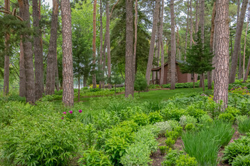 A log cabin in the background of a lush green shade garden in a public park.