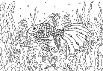 Hand drawing coloring page for kids and adults. Fish in ocean or sea. Underwater world, corals, algae, shell Beautiful drawing with patterns and small details. Coloring pictures. Vector