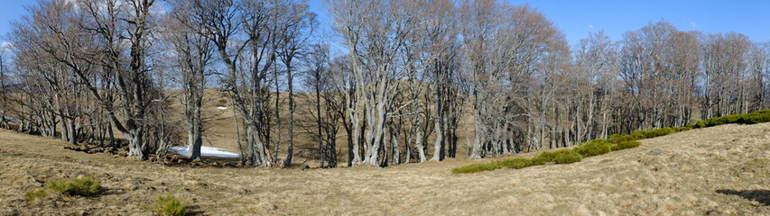 de Besse au Puy de Champbourguet
