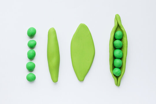 Modelling clay . Craft Plasticine Green Pea. Step by step. Childrens activity in school art lesson and plasticine concept. Montessori
