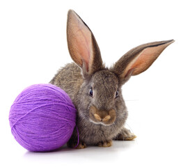 Rabbit and purple ball.