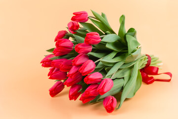 A large bouquet of red tulips with red ribbon lies on a delicate beige background - spring flowers for the holiday of March 8 or Valentines Day. A postcard