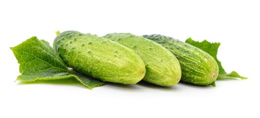Three green cucumbers and leaves.