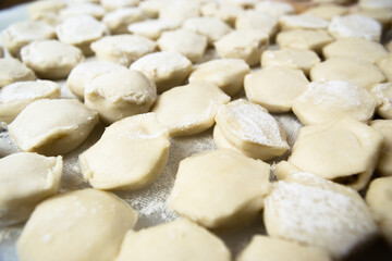 Handmade ravioli dumplings are beautifully arranged in rows on a cutting board and sprinkled with flour. Close-up, macro.
