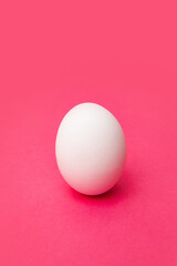 White fresh chicken egg on pink surface
