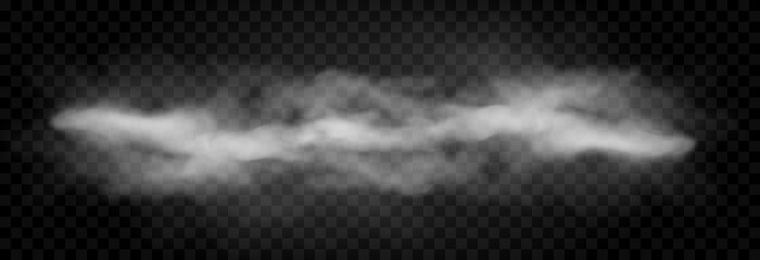 Vector cloud of smoke or fog. Fog or cloud on an isolated transparent background. Smoke, fog, cloud png. - obrazy, fototapety, plakaty