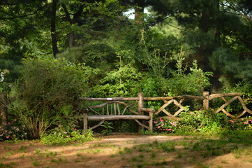 wooden bench in beautiful  park, in summer