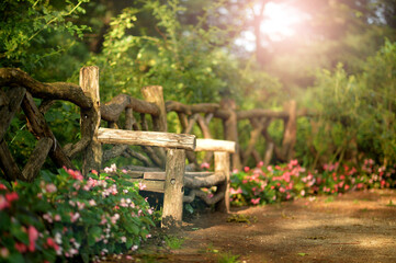 wooden bench in beautiful  park, in summer