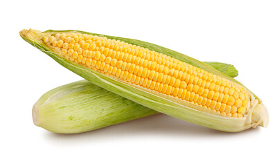 corn path isolated on white