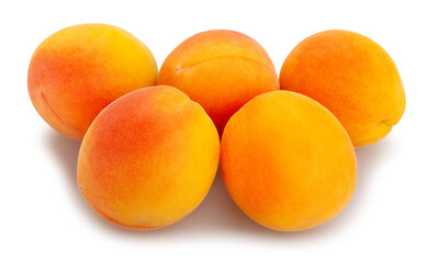 apricot path isolated on white