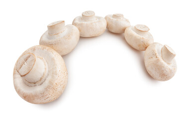 mushrooms path isolated on white