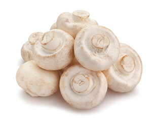 mushrooms path isolated on white