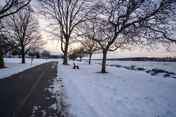 Winter in the park