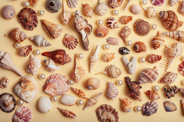 a lot of different empty sea shells on yellow background, macro details