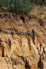 land on a cut with a view of layers in the depth of the soil