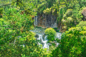 waterfall in the woods