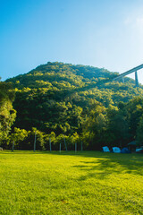 landscape in the park