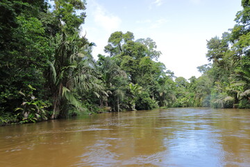 Parque Nacional Tortuguero, Costa Rica