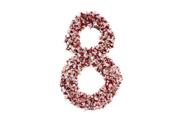 number eight made of dried fallen sakura petals isolated