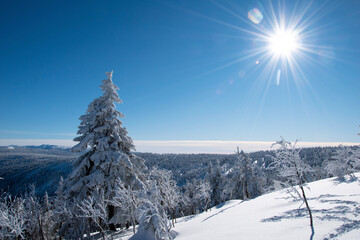 Fototapeta premium winter landscape in the mountains