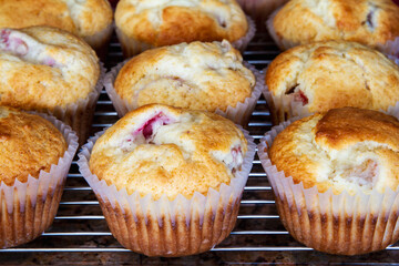 Freshly baked homemade rhubarb muffins; Delicious and perfect comfort food