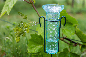 Meteorology with rain gauge in garden after the rain - obrazy, fototapety, plakaty