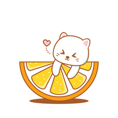cute cat with half orange fruit