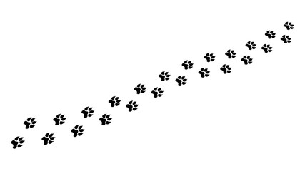 Footprints chain large animal clipart. Powerful black prints predatory beast with wide paws and sharp claws leaving vector pursuit.