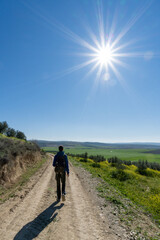 Obraz premium Unrecognized young boy wearing sports clothes and backpack walking in the countryside.