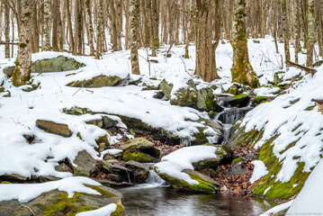 Waterfall on small creek in snowy winter woods, Appalachia, North Carolina