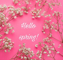 White flowers on a pink background. Spring. Banner hello spring. New month.