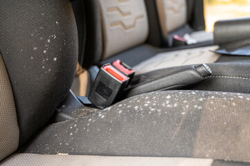 Mold and fungus on the drivers seat of a car seat that has been laid up, unused for several months