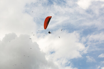 Flying a paraglider with birds on a cloudy day