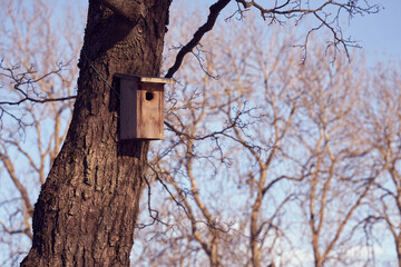 A birdhouse on a tree on a sunny day.