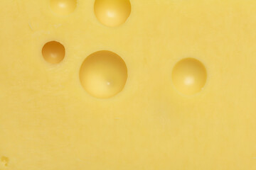 Cheese with holes background or texture macro shot