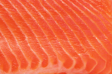 Fresh red salmon fillet slice texture or background