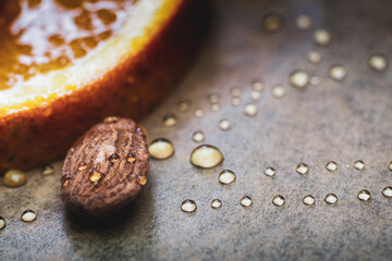 coffee beans in a cup