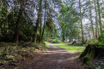 Old back country dirt road at Fort Ebey Whidbey Island Washington