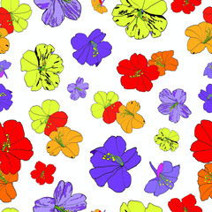 Mirabilis flower night beauty