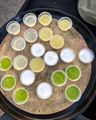 small cups of healthy juices