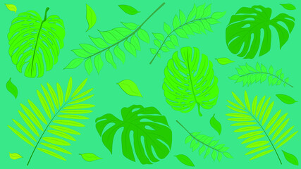 Fototapeta na wymiar An array of greenery, natural looking plants for tropical, nature display. Hand drawn illustration of multiple green leaves on dark background for social media, aesthetic. 