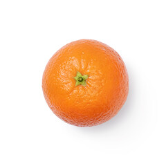 Orange fruit on white background