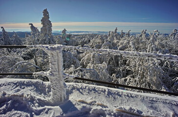 Sunny and frosty winter views - white by hoarfrost cover railing before a frozen forest