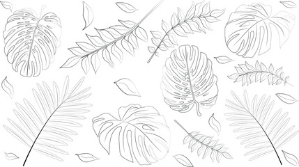 A black and white detailed kids coloring page with greenery, ferns, plants and leaves for childs fun activity. 