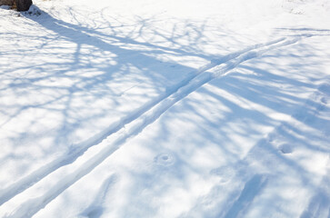 Obraz premium Ski track in winter forest. View of ski track on snow background